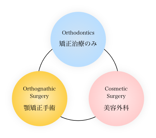 経験豊富な矯正歯科専門の歯科医師のもとにおこなう矯正治療の棲み分け