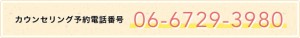 06-6729-3980